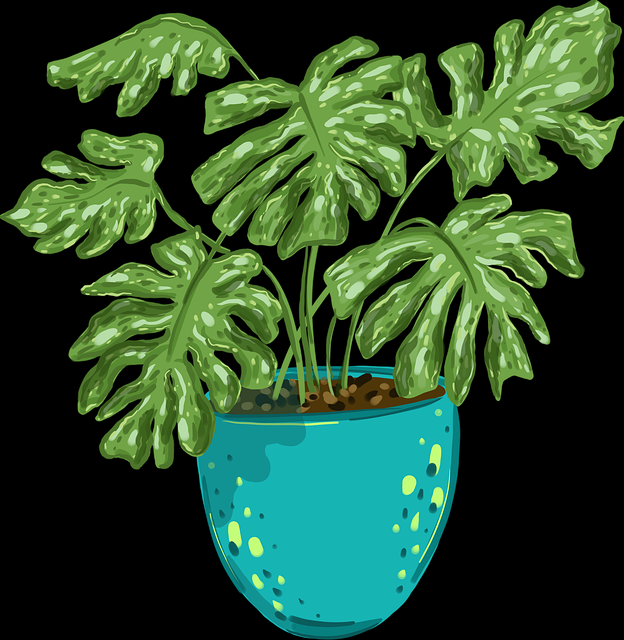 蘑菇视频下载视频封面标准变化｜搜索逻辑改造解析吸引点击能力强化