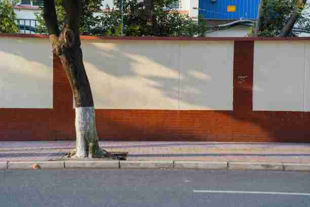 蓝光高清4K【迷情私境】梁朝伟×王祖贤欲焰升腾超清无广告免费视频