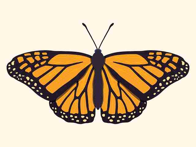 深夜看片首选，强烈安利：《五感图》肉体与情感的双重碰撞分析