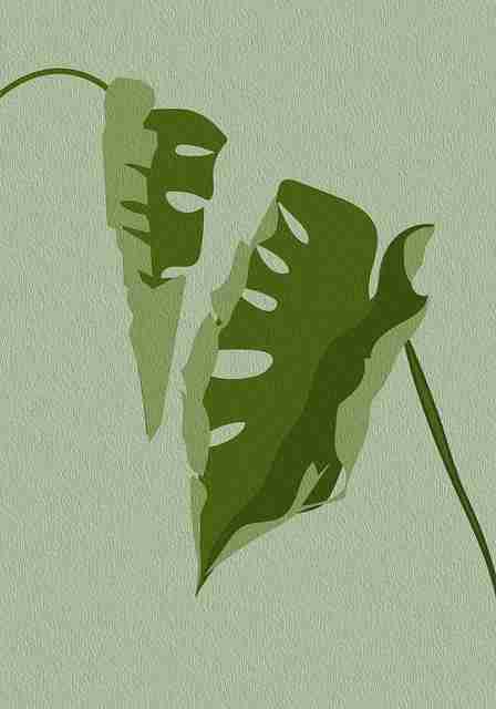 探花视频APP新片上线速递｜应用版本更新提示站内热搜持续更新